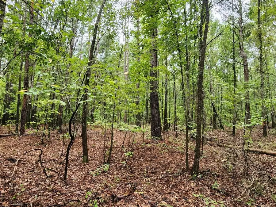 2090 Linton Road, Sparta, GA 31087 - #2