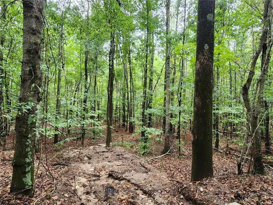 2090 Linton Road, Sparta, GA 31087 - #3
