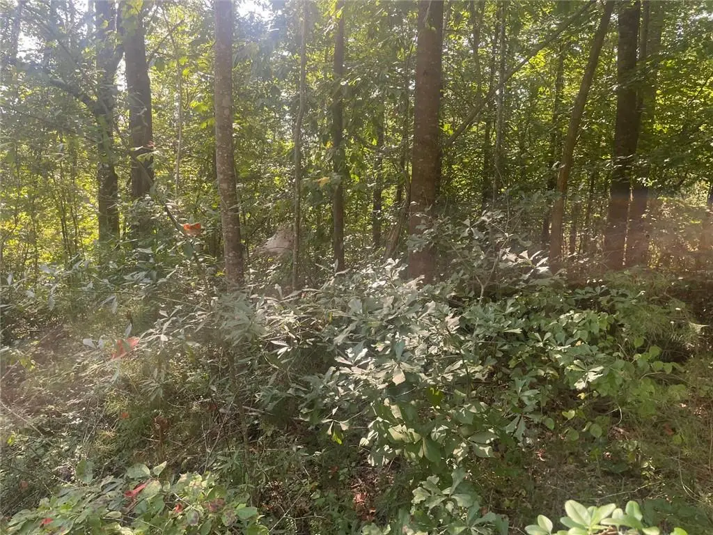 161 Apache Trail, Martin, GA 30557 - #1