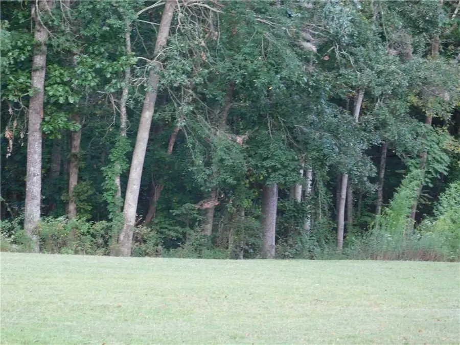 180 Irvin Drive, Dawsonville, GA 30534 - #2