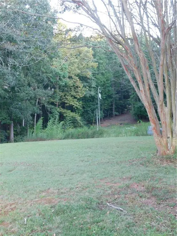 180 Irvin Drive, Dawsonville, GA 30534 - #3