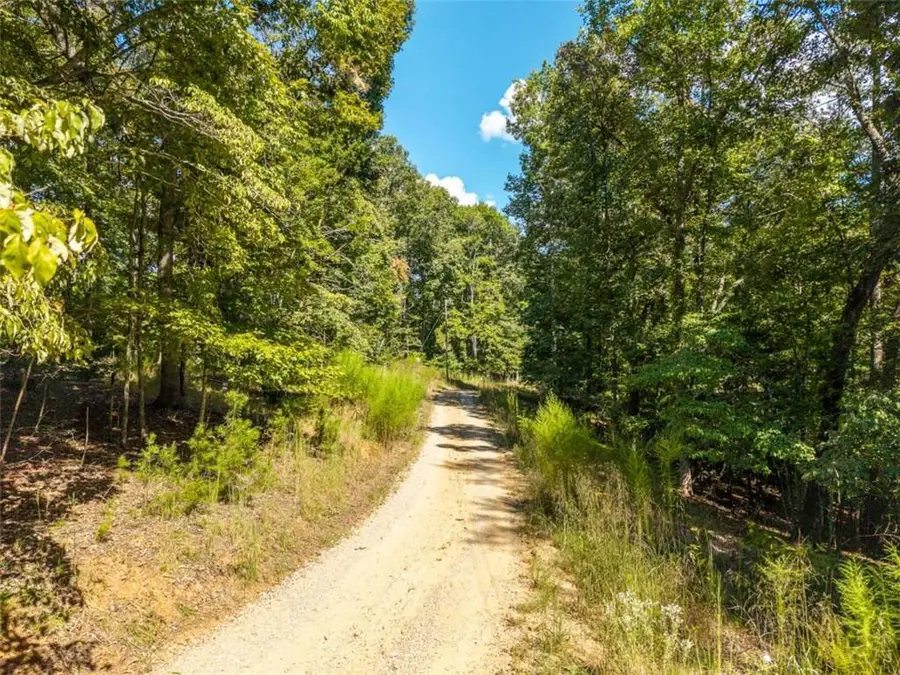 LT 27/ Donna Lee Lane, Mineral Bluff, GA 30559 - #3