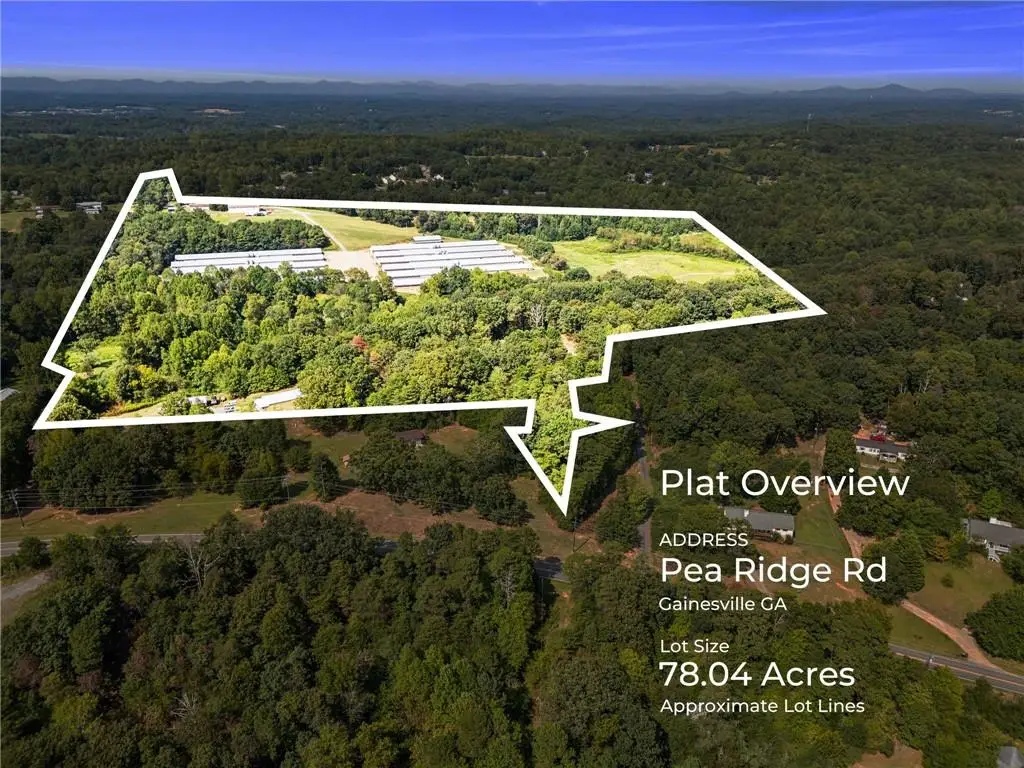 6770 Pea Ridge Road, Gainesville, GA 30506 - #1