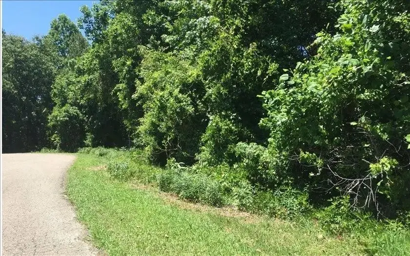 Lot 10 Mill Creek Drive, Jasper, GA 30143 - #2