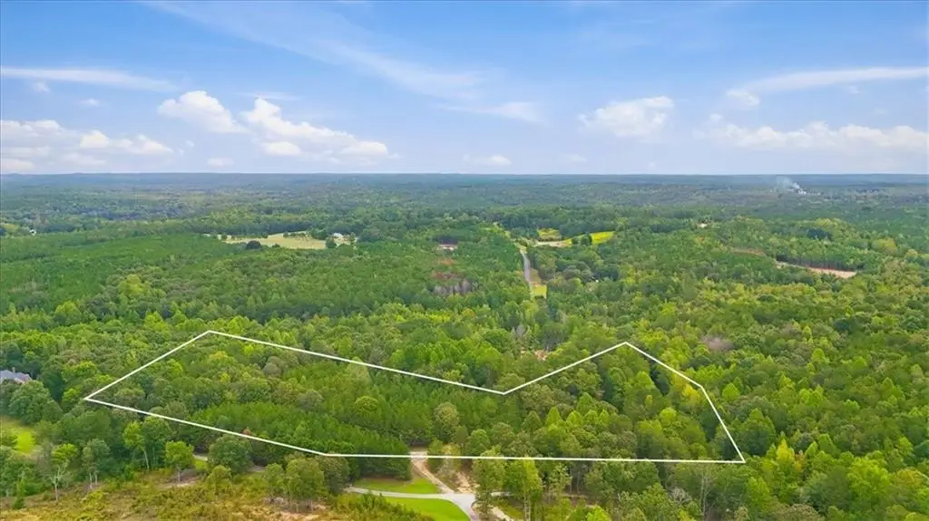 138 Roy Dean Road, Buchanan, GA 30113 - #1