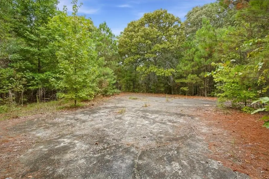 138 Roy Dean Road, Buchanan, GA 30113 - #2