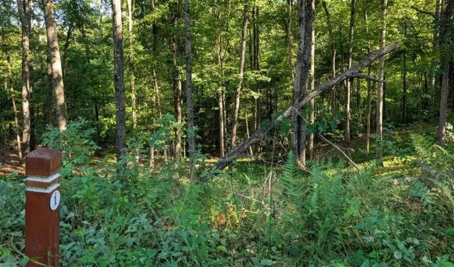 LOT 1 White Oak Circle, Blue Ridge, GA 30513 - #2