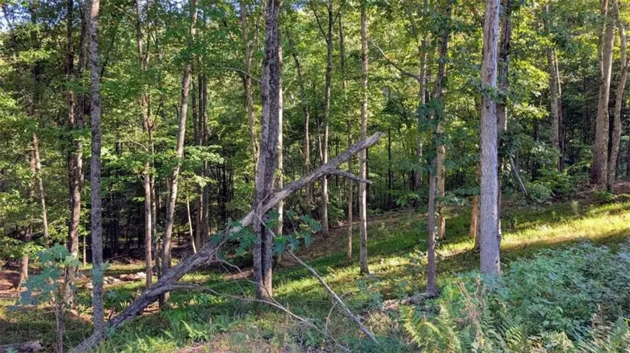 LOT 1 White Oak Circle, Blue Ridge, GA 30513 - #3