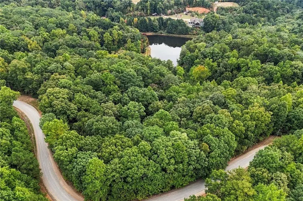 0 Lakeland Drive, Ellijay, GA 30540 - #1