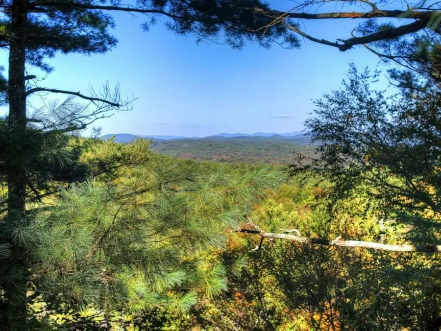 LT 123 Bell Camp Ridge Road, Blue Ridge, GA 30513 - #3