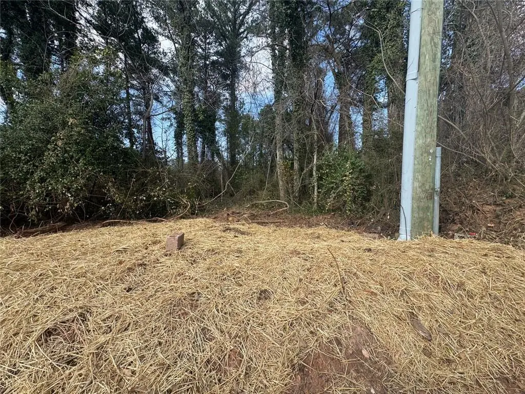 282 Chestnut Hill Road Sw, Marietta, GA 30064 - #1
