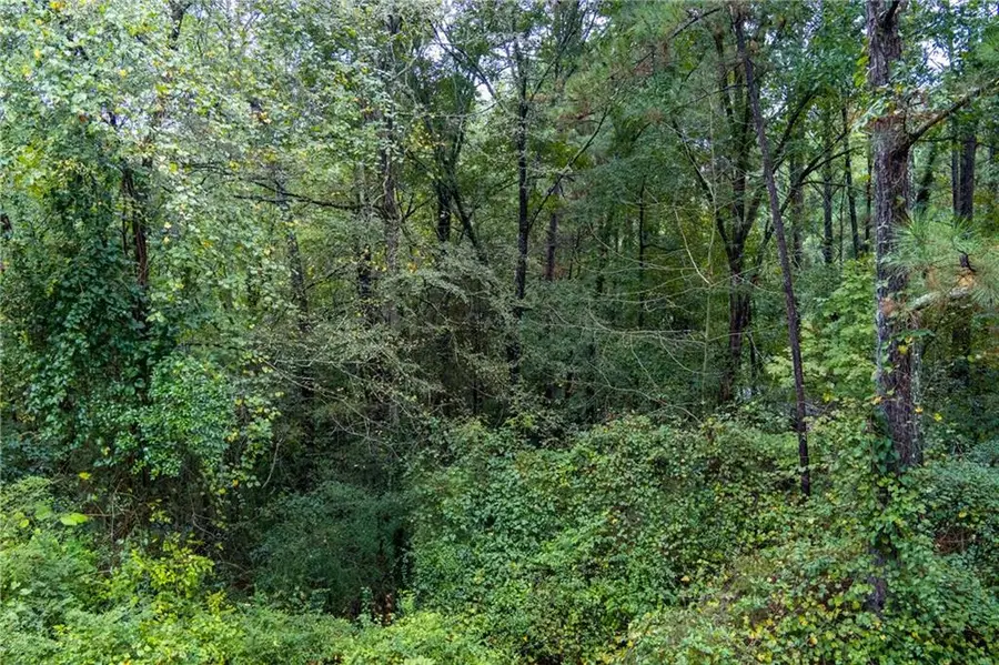2251 Sumner Court Ne, Conyers, GA 30012 - #3