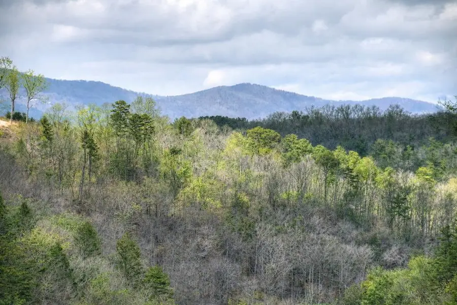 250 Noah Circle, Ellijay, GA 30540 - #2