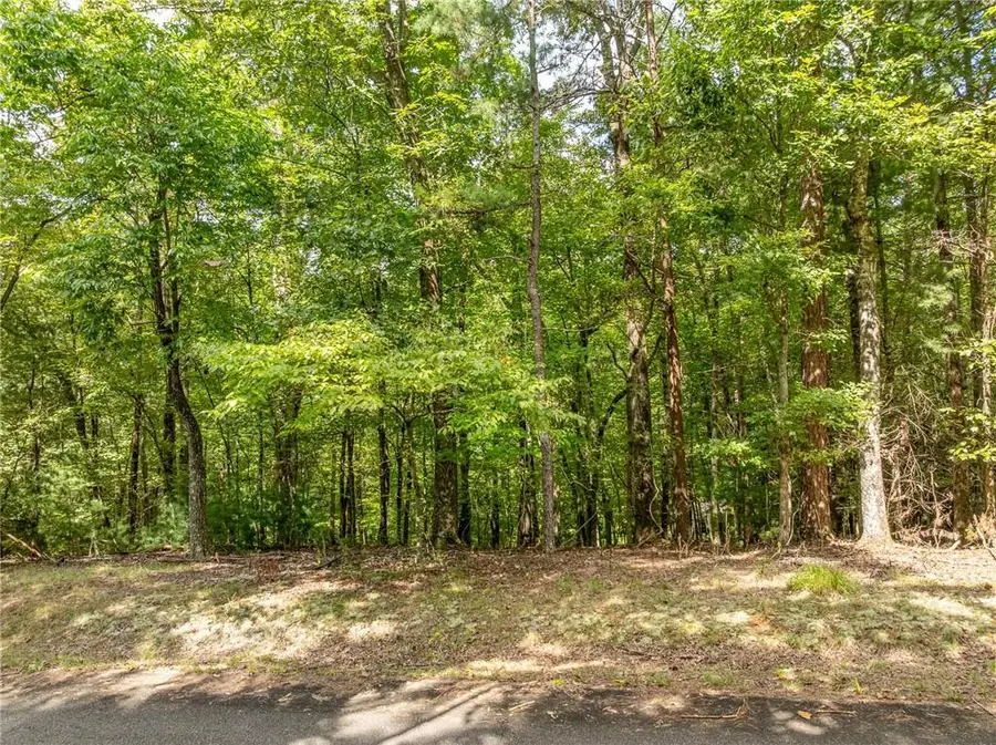 LT 272 Seneca Drive, Ellijay, GA 30540 - #2