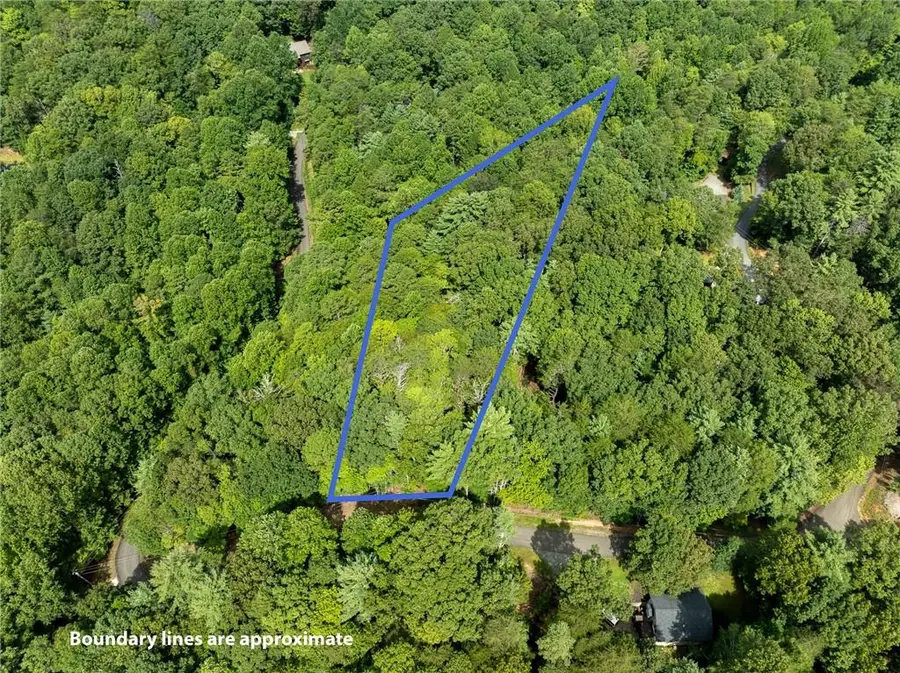 LT 272 Seneca Drive, Ellijay, GA 30540 - #3