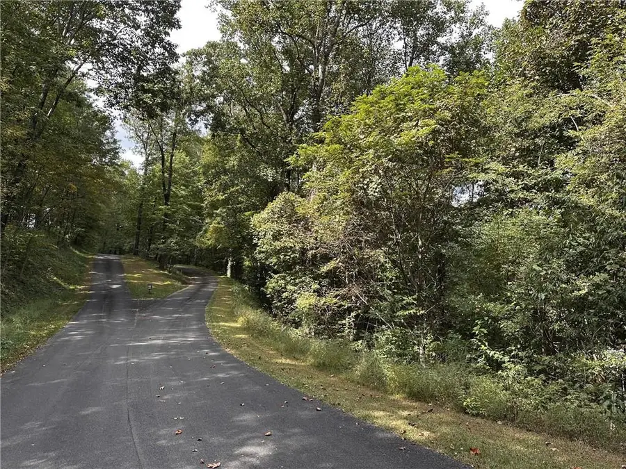7r Mountain Falls Loop, Ellijay, GA 30536 - #2