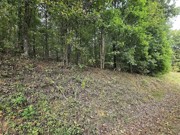 0 Big Oak Tree Road, Adairsville, GA 30103