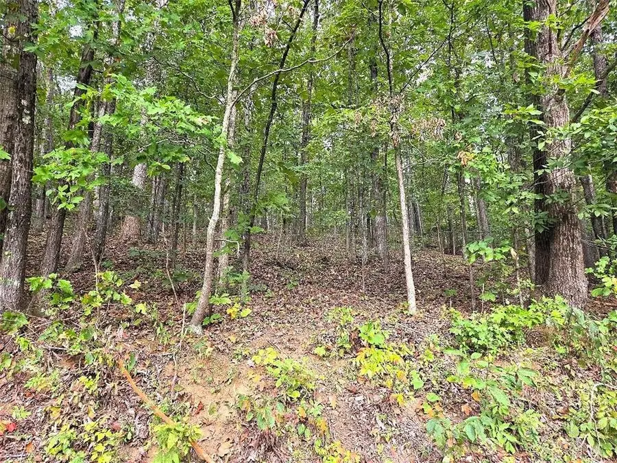 0 Big Oak Tree Road, Adairsville, GA 30103 - #2
