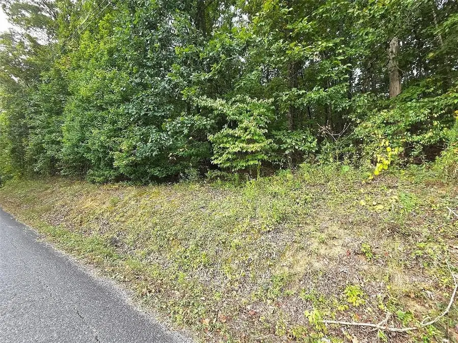 0 Big Oak Tree Road, Adairsville, GA 30103 - #3