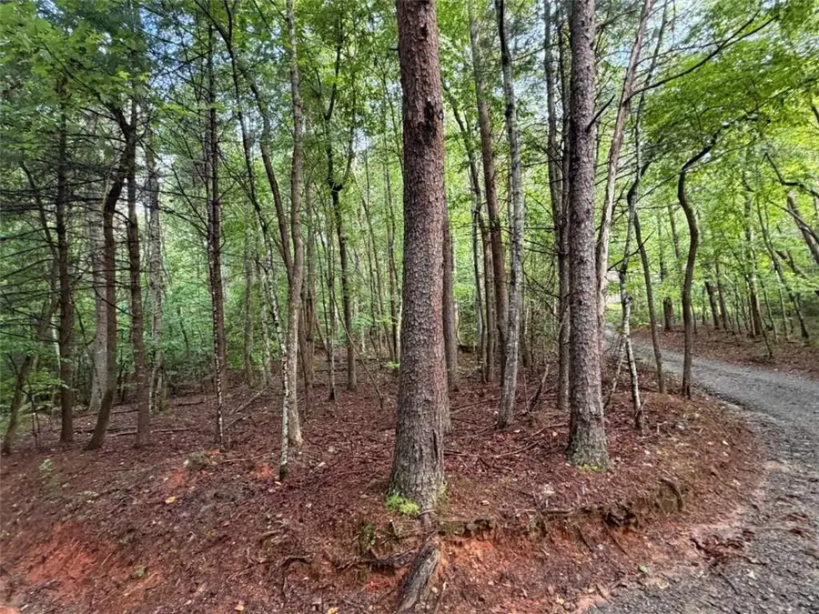0 Peach Lane, Ellijay, GA 30536 - #2