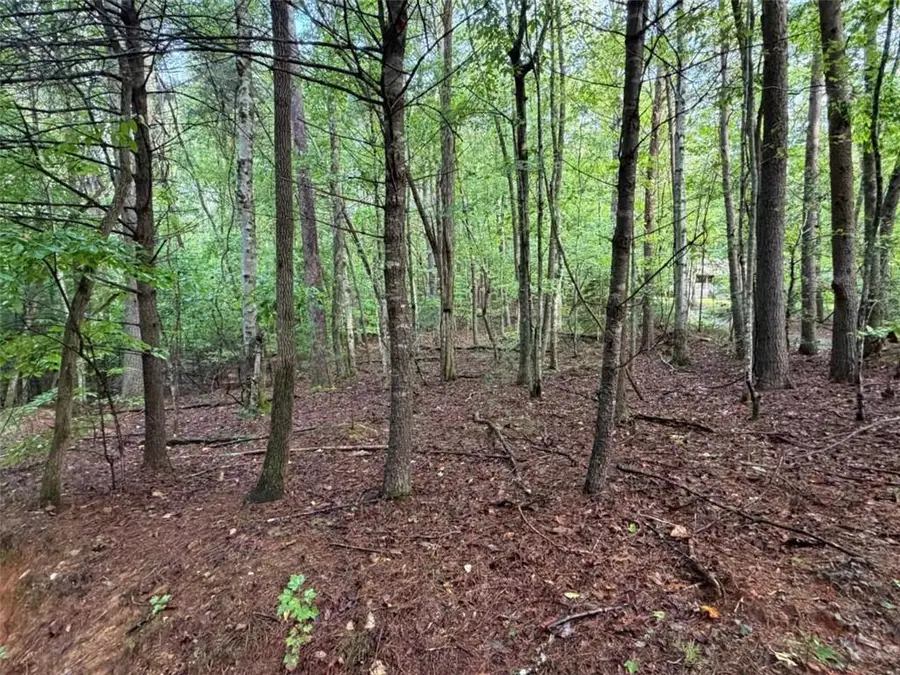 0 Peach Lane, Ellijay, GA 30536 - #3