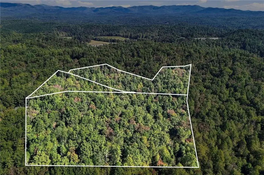 108 Charlottes Web Lane, Ellijay, GA 30540 - #2