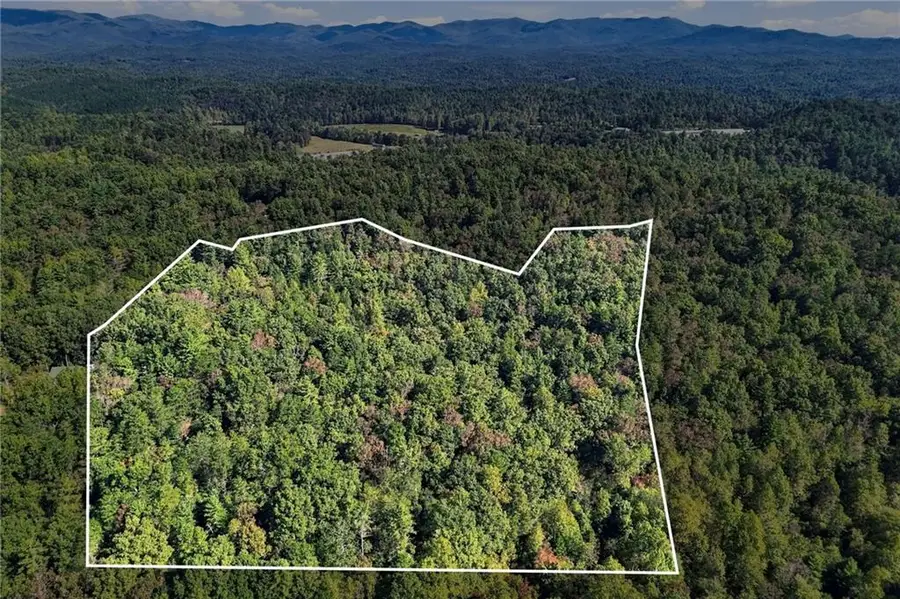 108 Charlottes Web Lane, Ellijay, GA 30540 - #3