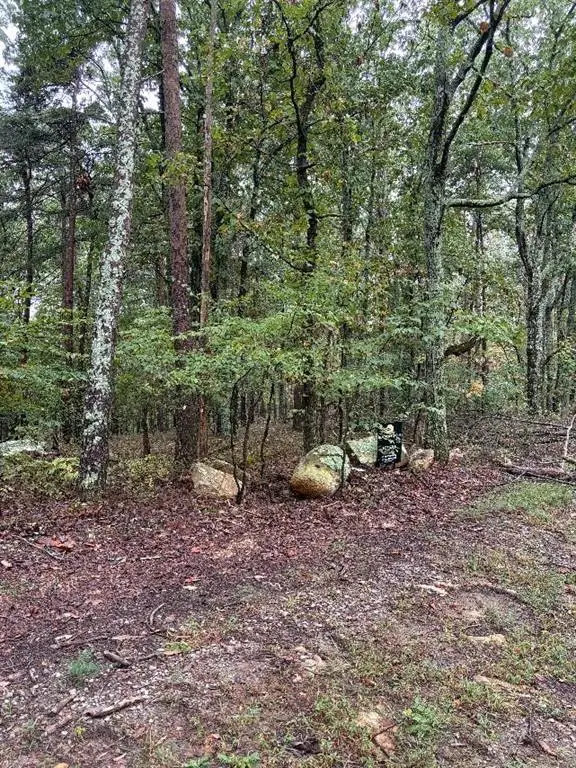 0 Quartz Court, Jasper, GA 30143