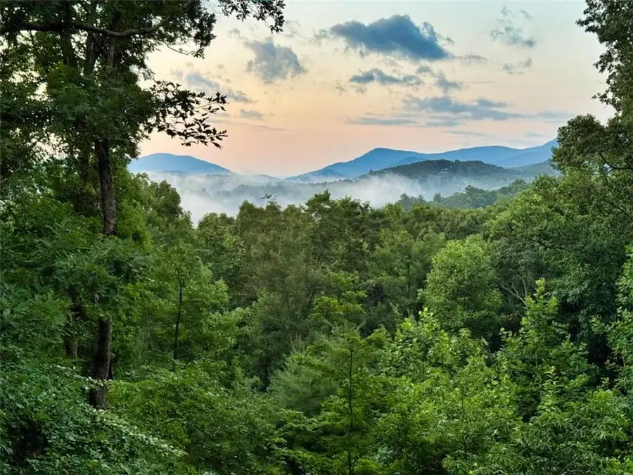 193 Nonchalant Lane, Blairsville, GA 30512 - #2