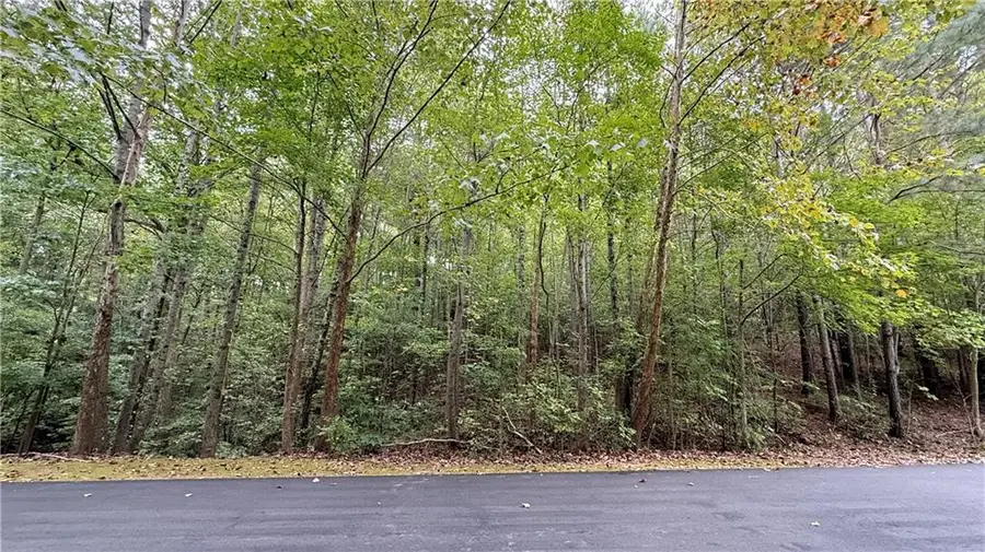 8935 Saddle Trail, Ball Ground, GA 30107 - #2