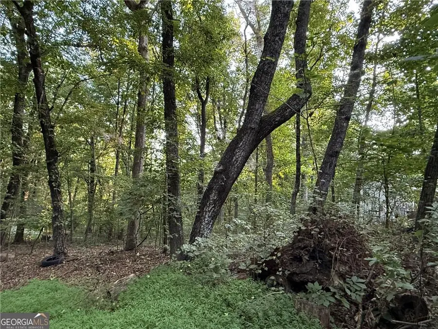 2726 Vaughandale Circle, Gainesville, GA 30506 - #2