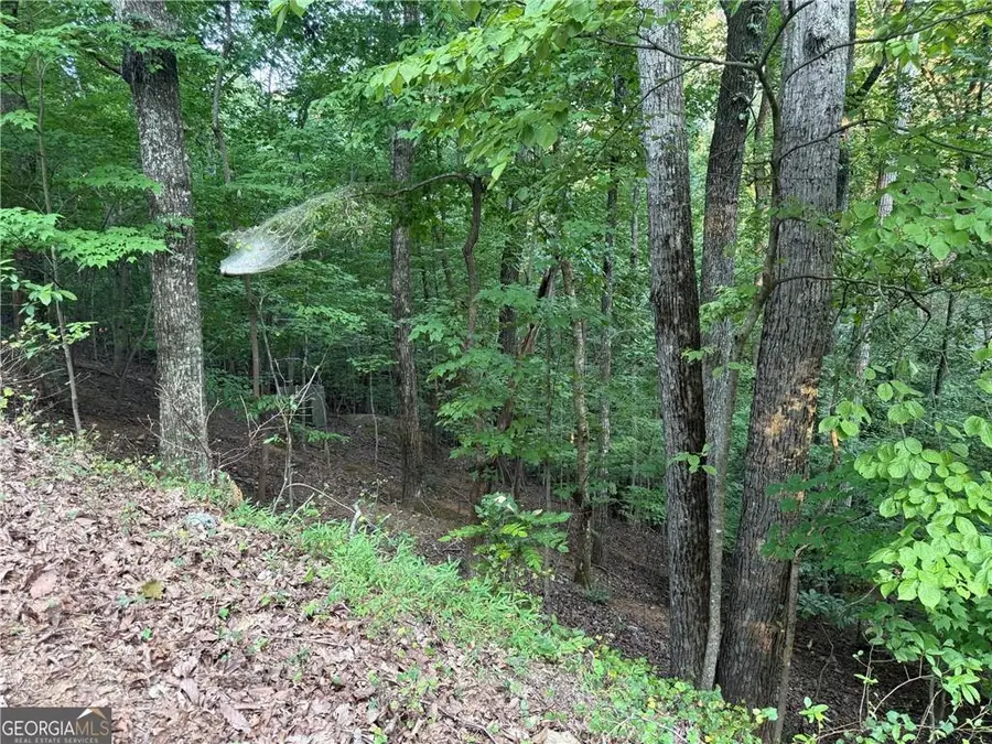2329 Ford White Road, Gainesville, GA 30506 - #3
