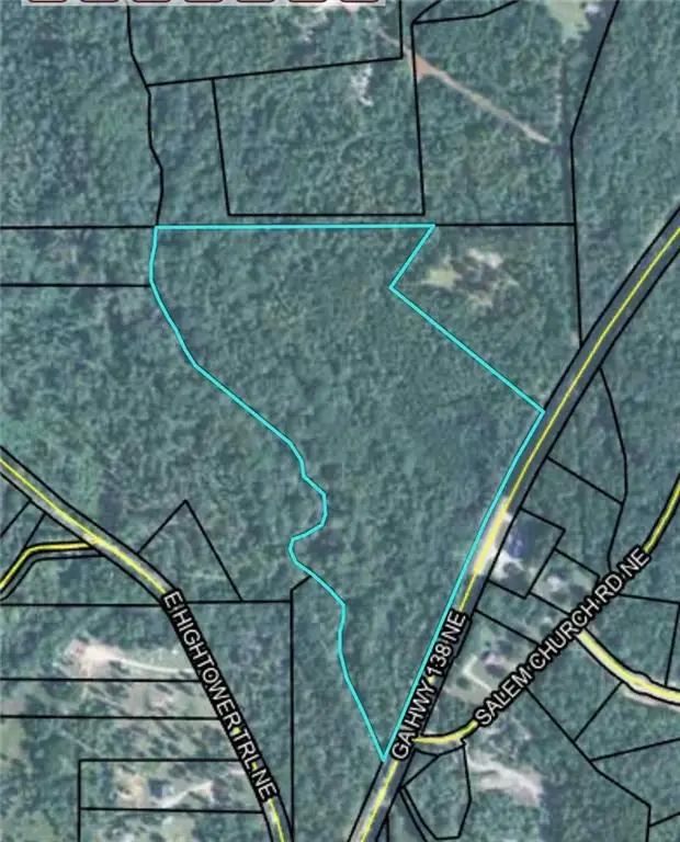 0 Ne Salem Church Road, Conyers, GA 30013 - #2