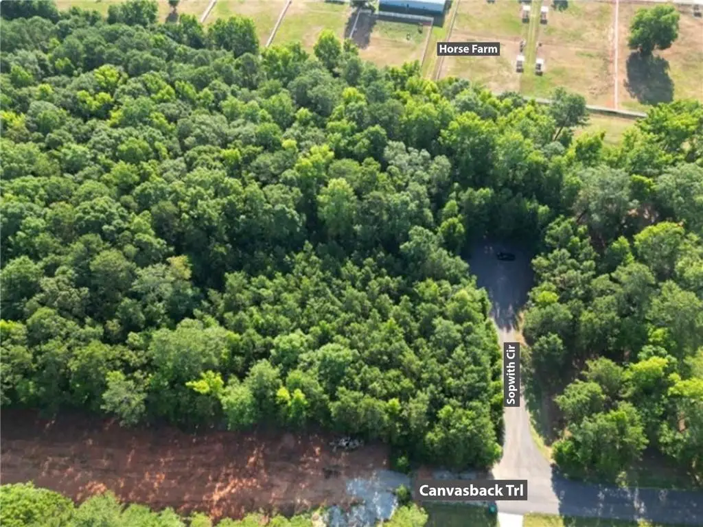 369 Canvasback Trail, Locust Grove, GA 30248 - #1