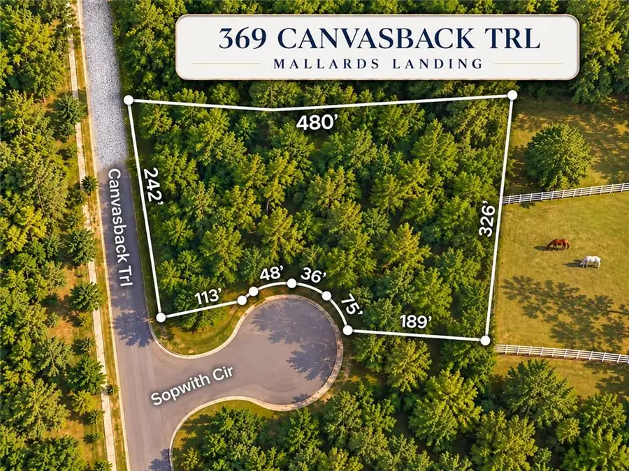 369 Canvasback Trail, Locust Grove, GA 30248 - #2