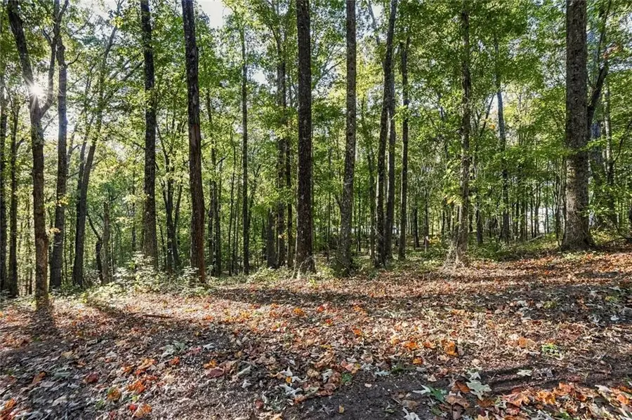 728 Chattin Drive, Canton, GA 30115 - #3