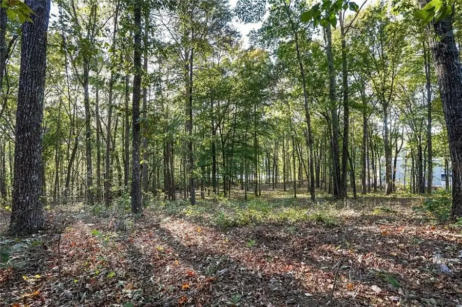 750 Chattin Drive, Canton, GA 30115 - #3
