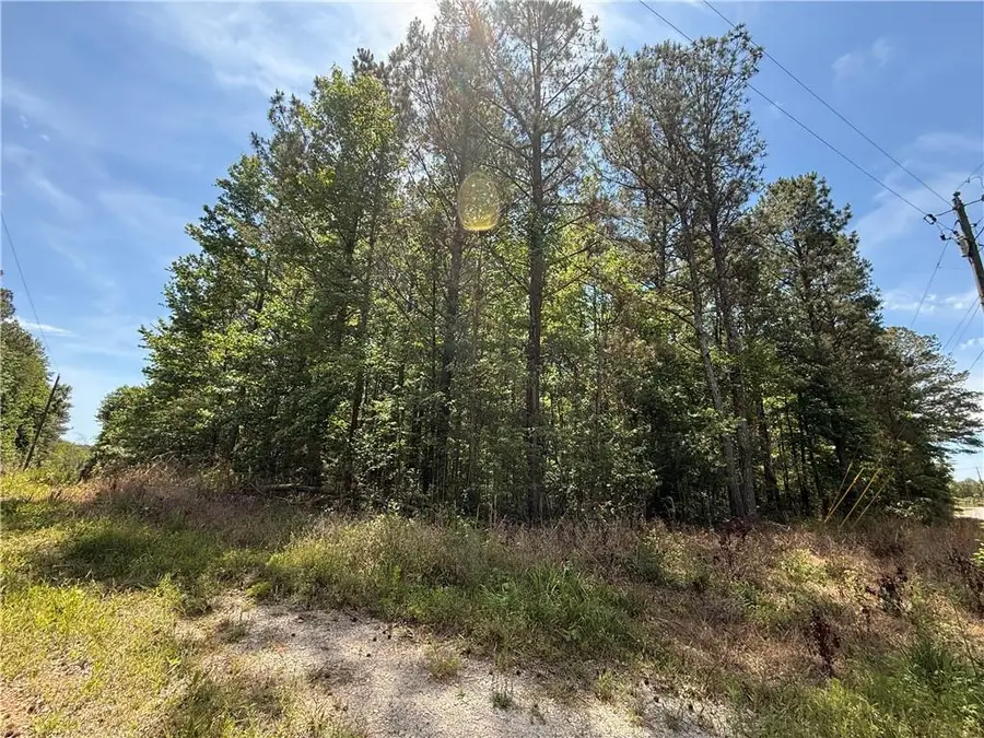 467 N Raburn Road, Bremen, GA 30110 - #2