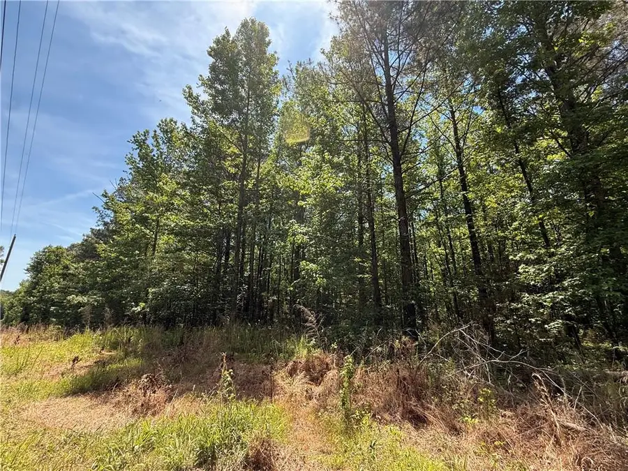 467 N Raburn Road, Bremen, GA 30110 - #3