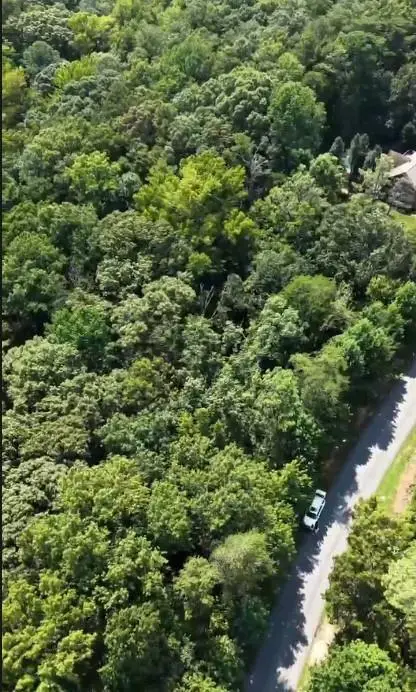 46 Somerset Lane, Cartersville, GA 30121 - #2