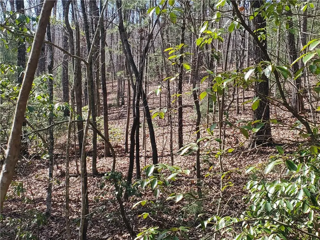 Lot 41 Trails End, Ellijay, GA 30540 - #1