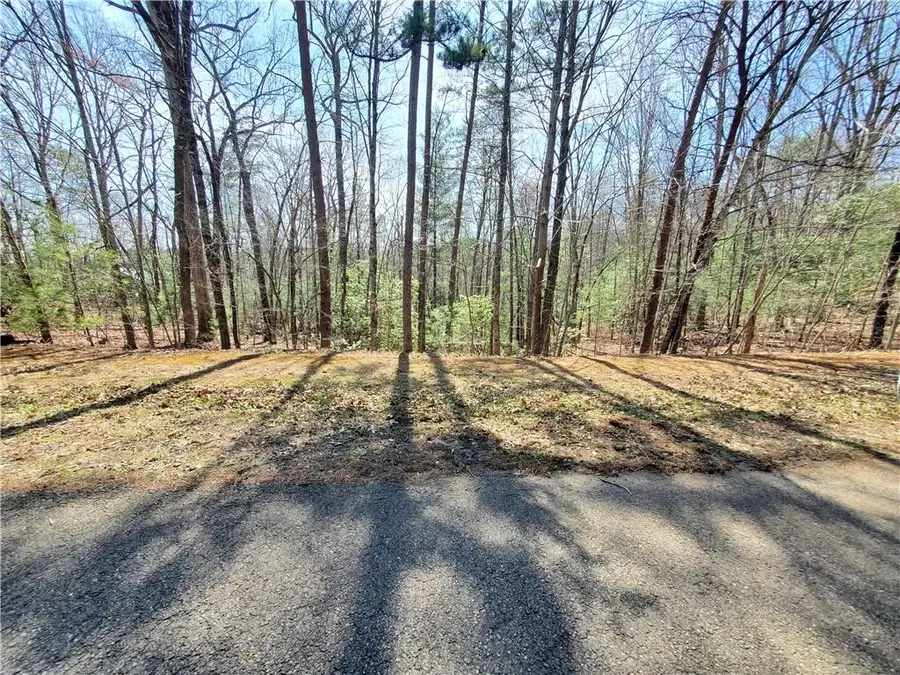 Lot 41 Trails End, Ellijay, GA 30540 - #3