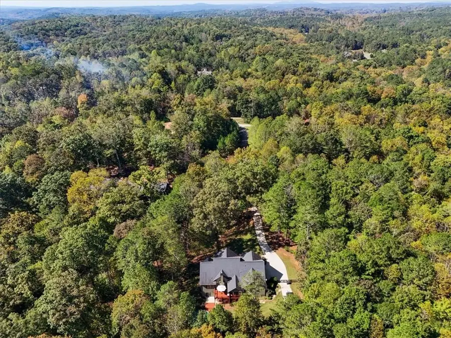 328 Cain Creek Overlook, Ball Ground, GA 30107 - #3
