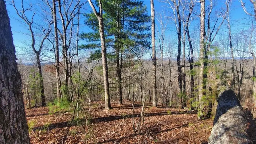 LT 171 Doll Mountain Road, Ellijay, GA 30540 - #3