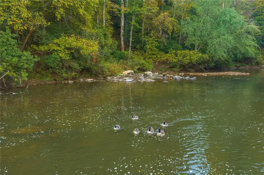 0 Matrix Circle, Ellijay, GA 30540 - #2