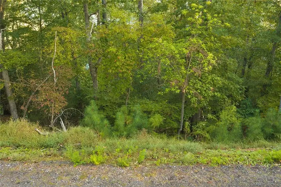 0 Matrix Circle, Ellijay, GA 30540 - #3