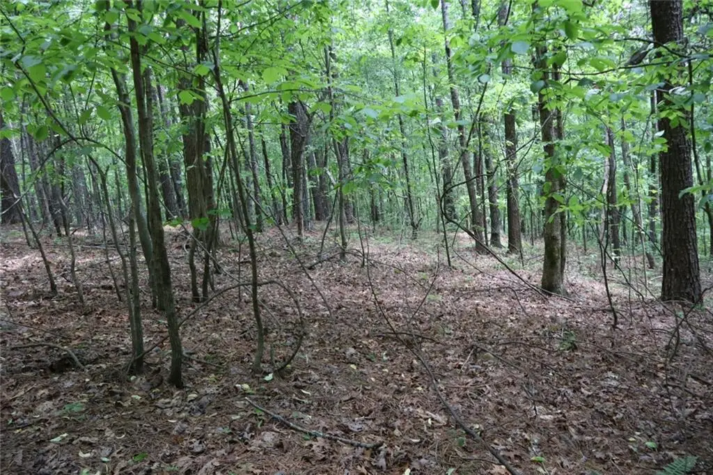 0 Parksbrook Road A, Ellijay, GA 30540 - #1