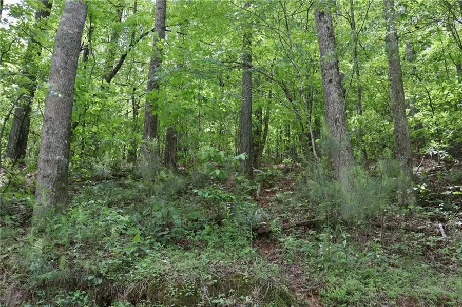 0 Parksbrook Road A, Ellijay, GA 30540 - #2