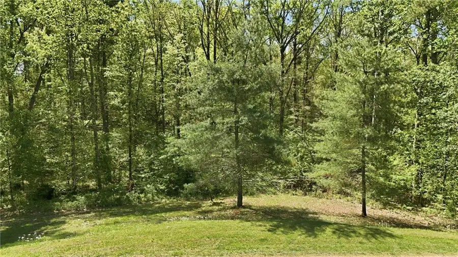 LOT 3 Fenwick Wood Road, Clarkesville, GA 30523 - #2