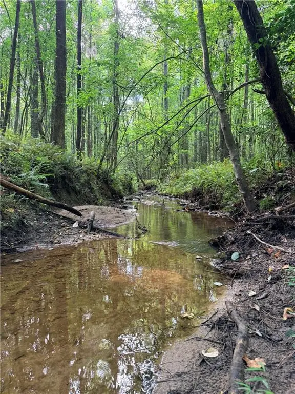 Lot 19 Henderson Mountain Road, Jasper, GA 30143